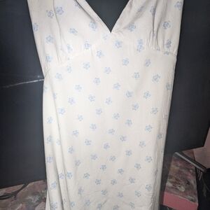 Floral Print Dress in Cream and Blue